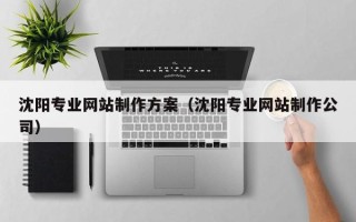 泰安沈阳专业网站制作方案（沈阳专业网站制作公司）